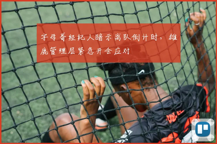 字母哥经纪人暗示离队倒计时，雄鹿管理层紧急开会应对